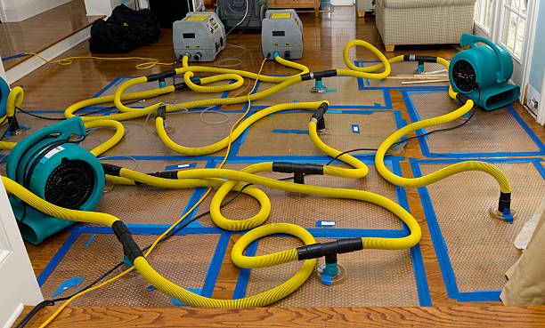 Professional Sewage Cleanup technician working in Rush, CO
